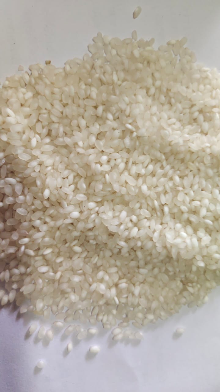 WhatsApp Image 2025-07-10 at 10.33.55 AM.jpeg